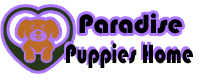 cropped-logo.png